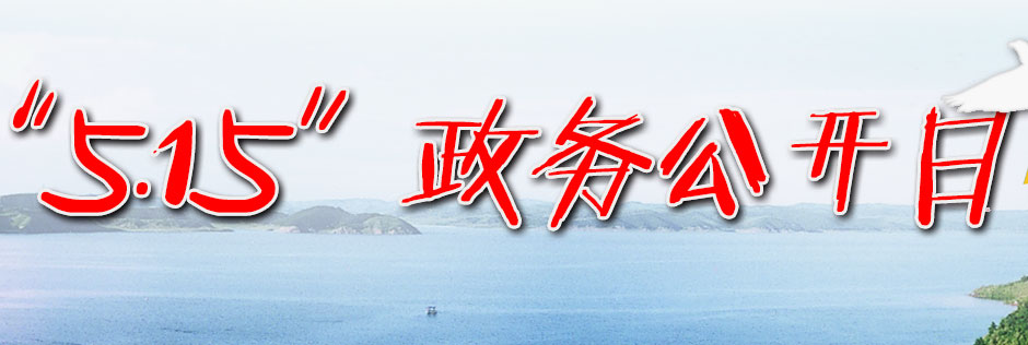 515政务公开日