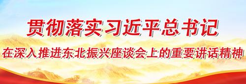 贯彻落实习近平总书记在深入推进东北振兴座谈会上的讲话精神