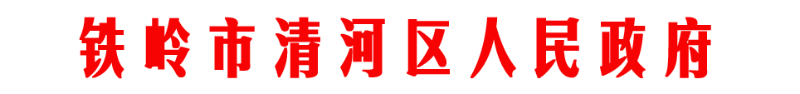 铁清政 铁清政